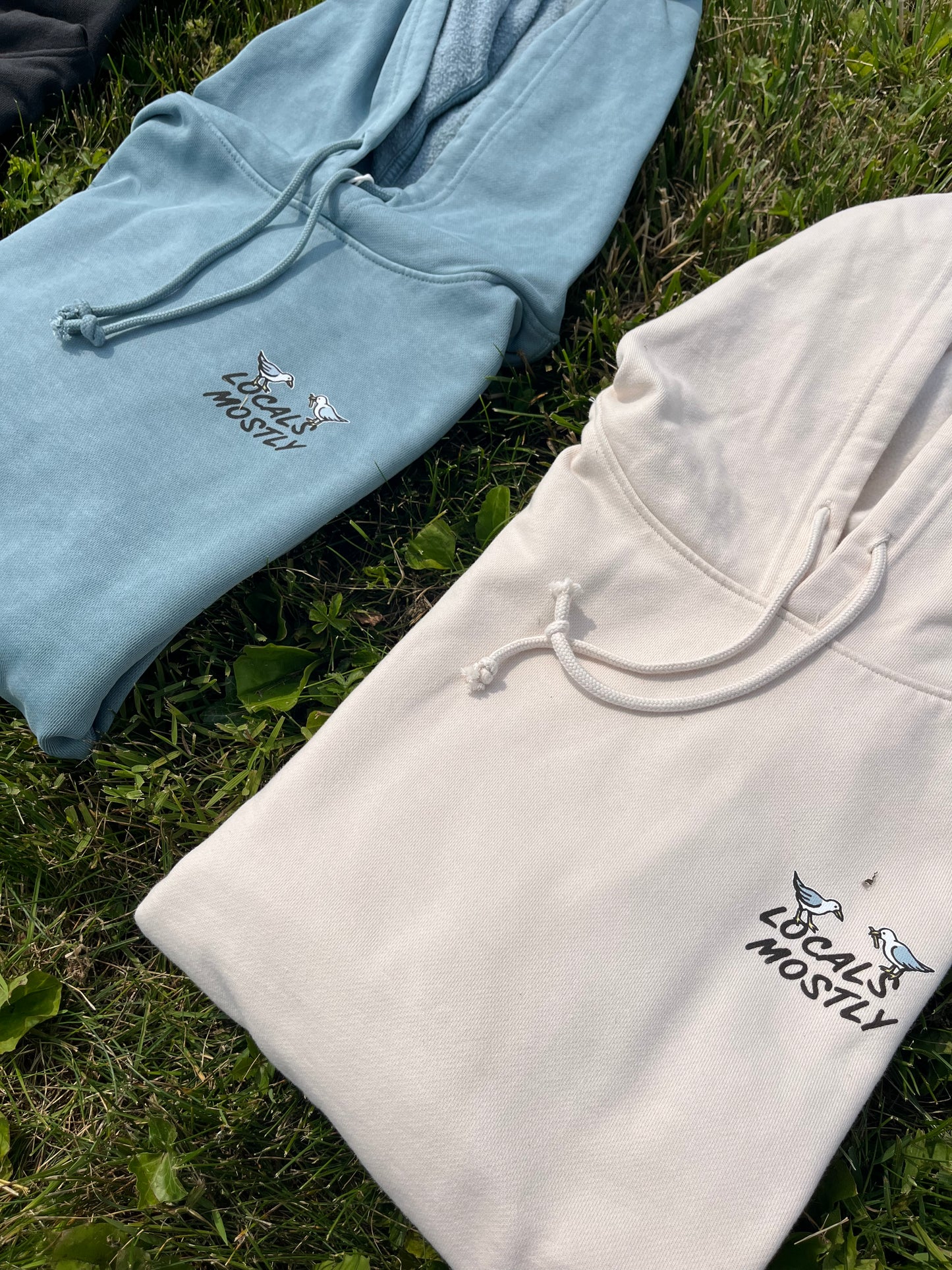 BNW x Katin Locals Mostly Hoodie